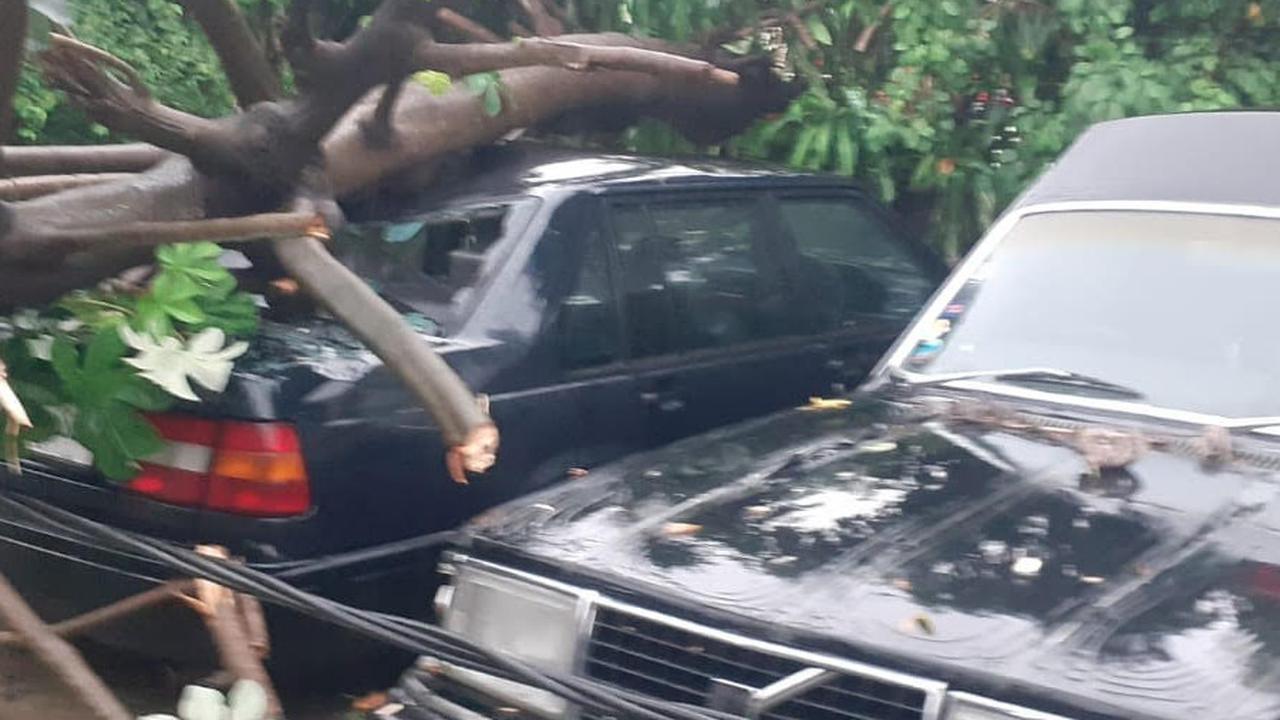 Pohon timpa mobil di  Depok