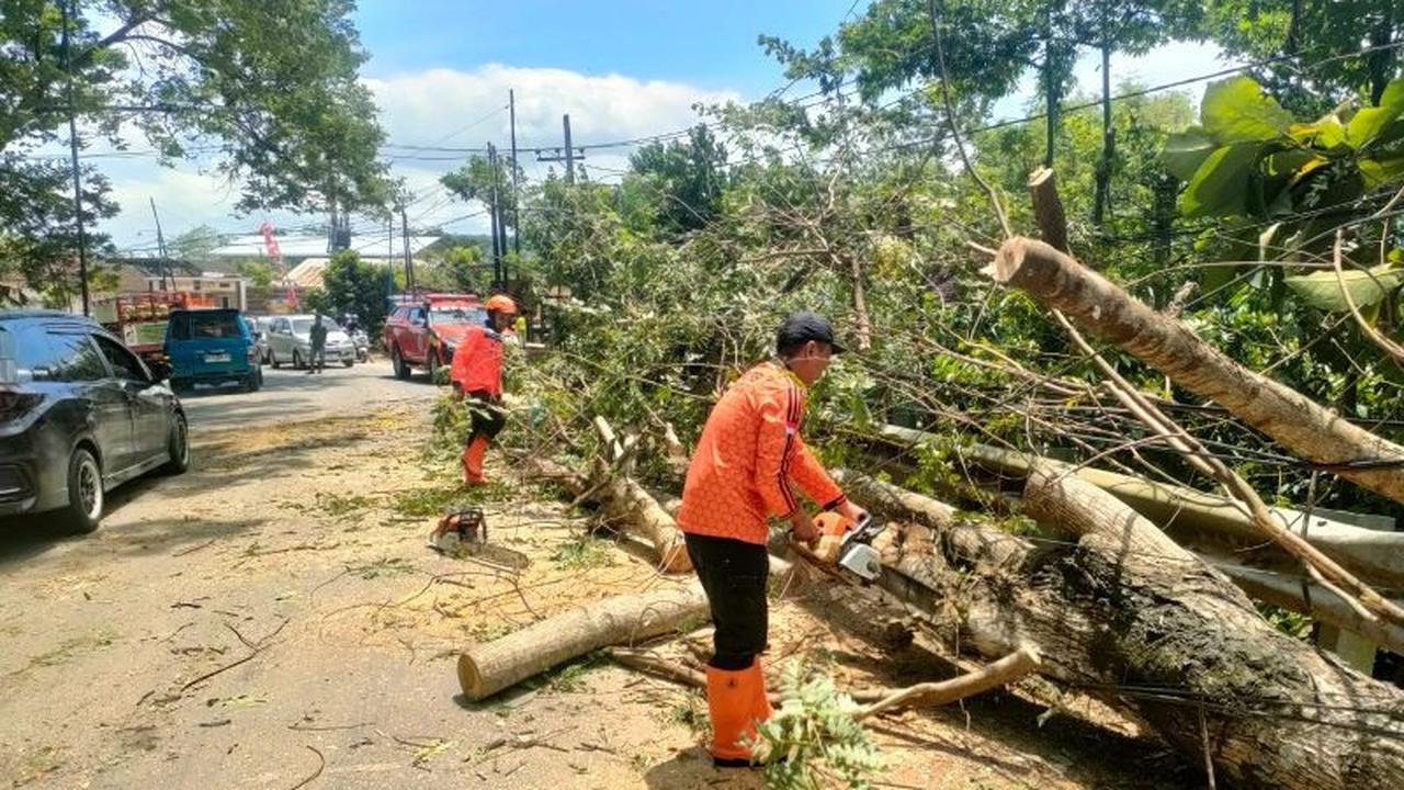 Angin Kencang Terjang Trenggalek: Satu Tewas, Dua Tower Roboh, Puluhan Rumah Rusak
