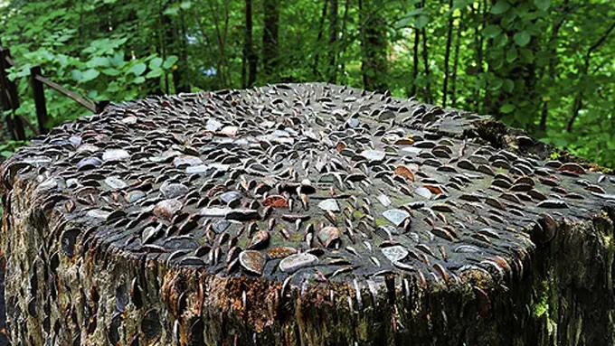 Di Inggris Ternyata Ada Pohon Duit Beneran! 