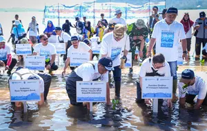 Kementerian Lingkungan Hidup Pulihkan Ekosistem Mangrove di NTB