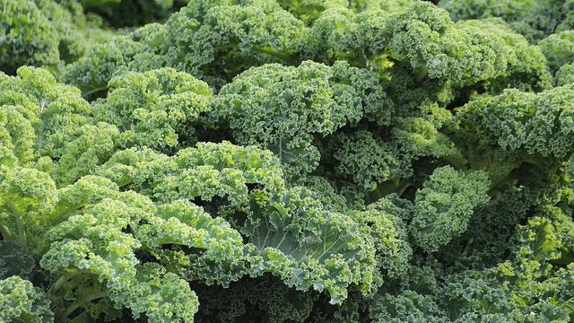 Kale