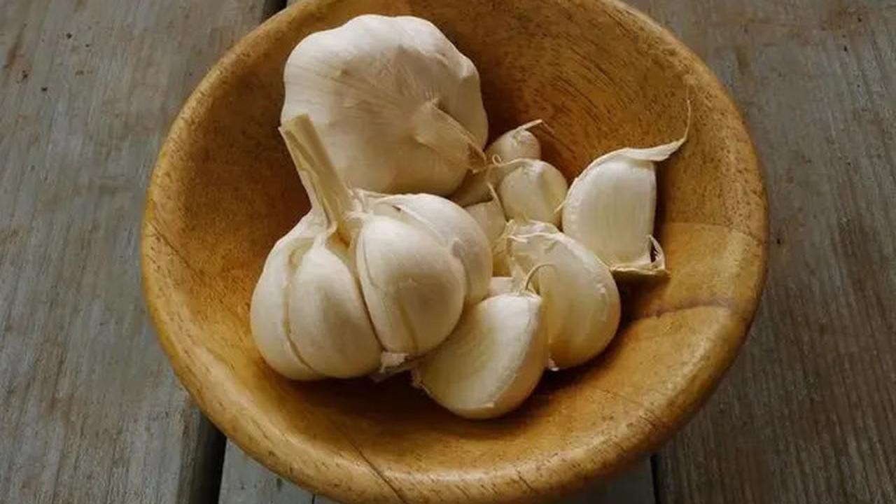 Cara Merebus Bawang Putih untuk Turunkan Kolesterol, Tekanan Darah Tinggi, dan Asam Urat