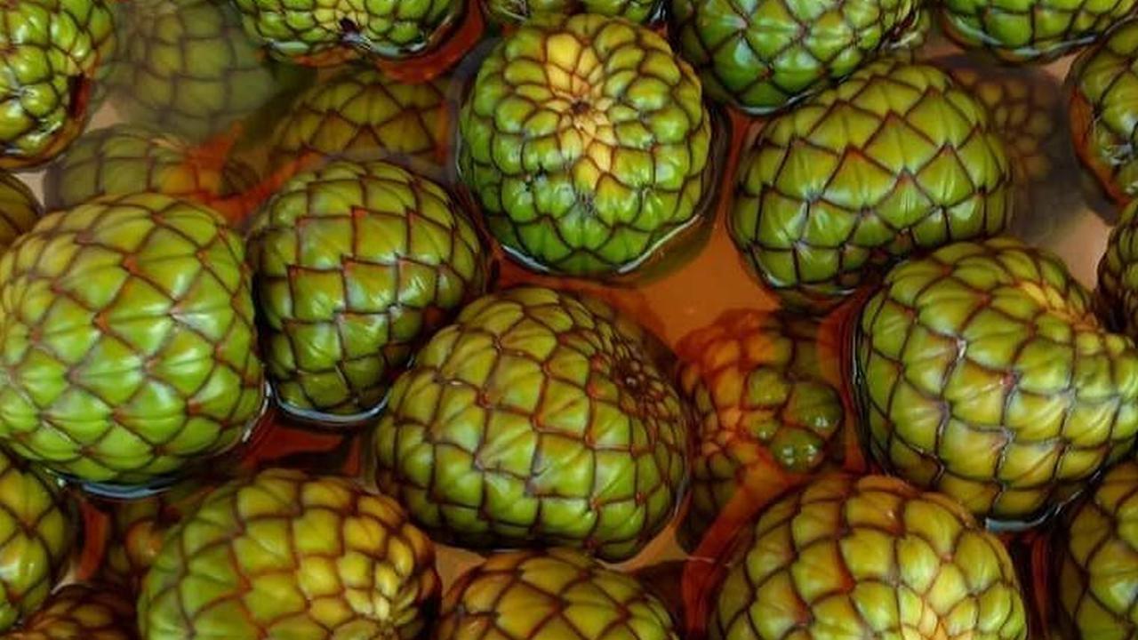 Mencicipi Rumbia, Buah Pohon Sagu Favorit Masyarakat Aceh yang Penuh Khasiat
