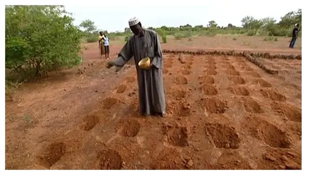 Yacouba Sawadogo