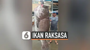 THUMBNAIL IKAN OARFISH