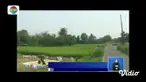 Ada-ada saja ulang sejumlah hewan ini. Diduga karena habitatnya terganggu, ada hewan yang masuk ke permukiman, ada juga yang menyerang hingga menewaskan warga.