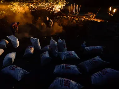 Jesus Luis Remiro, Salvador Remiro dan Jose Mari Nieva mengambil arang  tradisional di Viloria, Spanyol utara (11/9). Hanya segelintir warga yang dapat membuat arang tradisional dari kayu bakar. (AP Photo/Alvaro Barrientos)