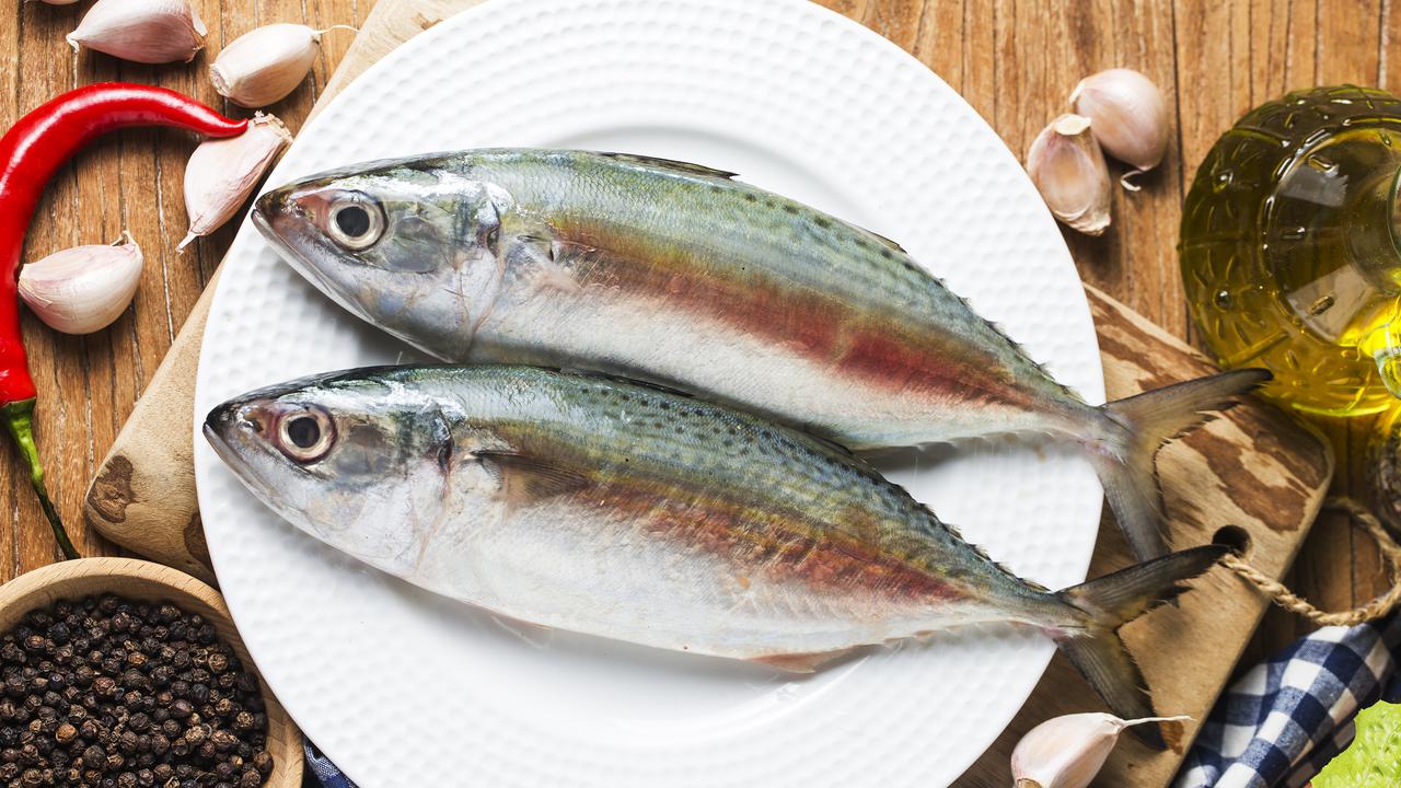 ikan segar