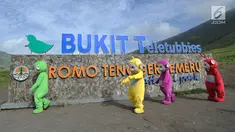 Warga berkostum teletubbies berjalan menghibur wisatawan di Bukit Teletubies kawasan Taman Nasional Bromo Tengger Semeru (TNBTS), Jawa Timur, Selasa (26/3). Kegiatan yang berlangsung sejak sekitar 1,5 bulan lalu ini dilakukan warga asli Tengger dengan seizin pihak TNBTS. (merdeka.com/Arie Basuki)