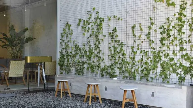 Desain Kafe Kekinian Serba Putih di Bandung Ala Atelier Ara