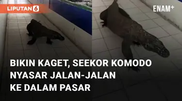 Seekor komodo masuk ke dalam sebuah pasar mengundang perhatian