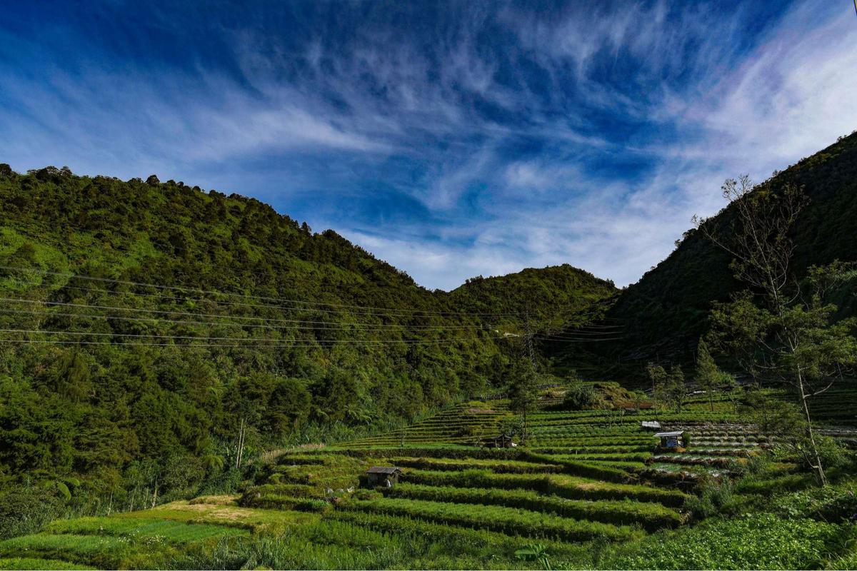 Indahnya Desa Wisata Sembungan yang dijuluku Swiss van Java