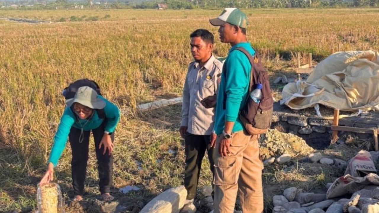 BRMP Maluku Optimistis Irigasi Perpompaan Tingkatkan Produktivitas Pertanian di Buru