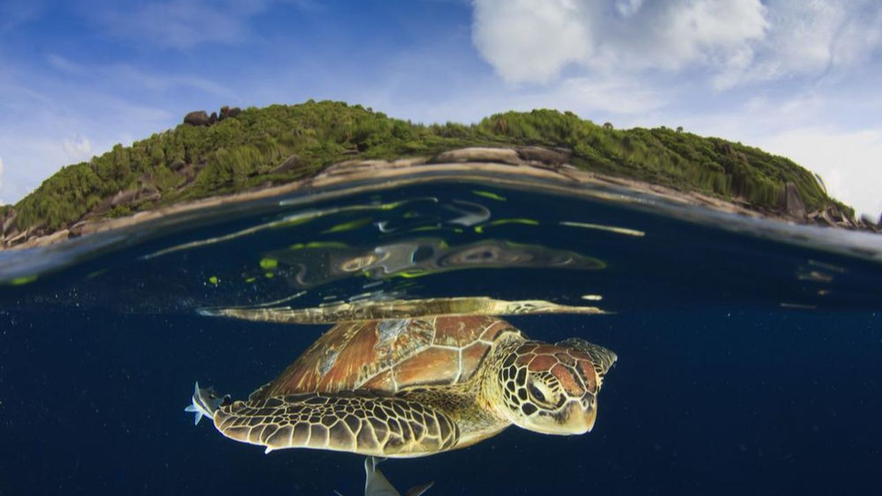 Pulau Penyu Tanjung Benoa