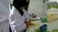 Sekelompok mahasiswa Fakultas Biologi UGM, Yogyakarta, menemukan salep Labu Siam sebagai obat kanker kulit. (Liputan6.com/Switzy Sabandar)