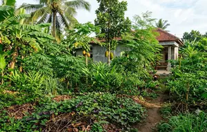 10 Tanaman yang Wajib Ada dalam Food Forest Tropis agar Kebun Lebih Produktif dan Berkelanjutan
