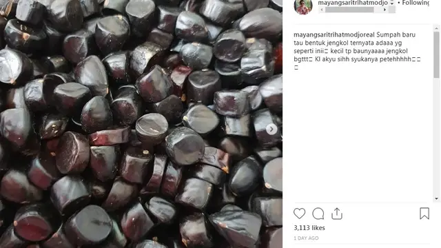 Mayangsari (Foto: Instagram)