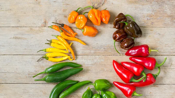 Makan Cabai Super Pedas, Berbahayakah bagi Kesehatan? (Little Hand Creations/Shutterstock)