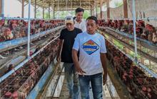 Tahukah Anda? Sidrap, Lumbung Pangan Nasional, Kini Arahkan Petani dan Peternak Gunakan QRIS