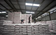 Pemkab Kulon Progo Imbau Petani Segera Tebus Pupuk Bersubsidi, Antisipasi Realokasi