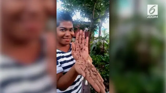 VIDEO: King, Pria yang Bisa Memanggil Kawanan Nyamuk