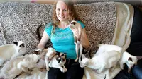 Kelly Cruse meninggalkan suaminya karena dia lebih memilih tinggal dengan 35 kucing miliknya. 