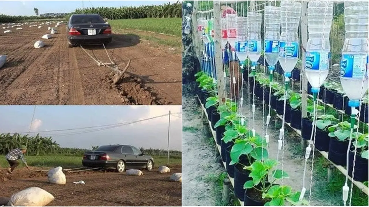 6 Cara Nyeleneh Orang Berkebun Ini Bikin Tepuk Jidat