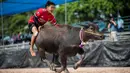 Seorang joki memacu kerbaunya dalam perlombaan balap kerbau tahunan di Chonburi, Thailand, Selasa (23/10). Lomba ini menandai berakhirnya musim hujan dan awal panen padi dalam tradisi yang berumur lebih dari satu abad. (Jewel SAMAD/AFP)