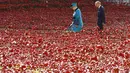 Dalam file foto 16 Oktober 2014 ini memperlihatkan Ratu Inggris Elizabeth II (kiri) dan Pangeran Philip berjalan melewati mengunjungi instalasi poppy 'Blood Swept Lands and Seas of Red' di The Tower of London. (AP Photo/Kirsty Wigglesworth, File)