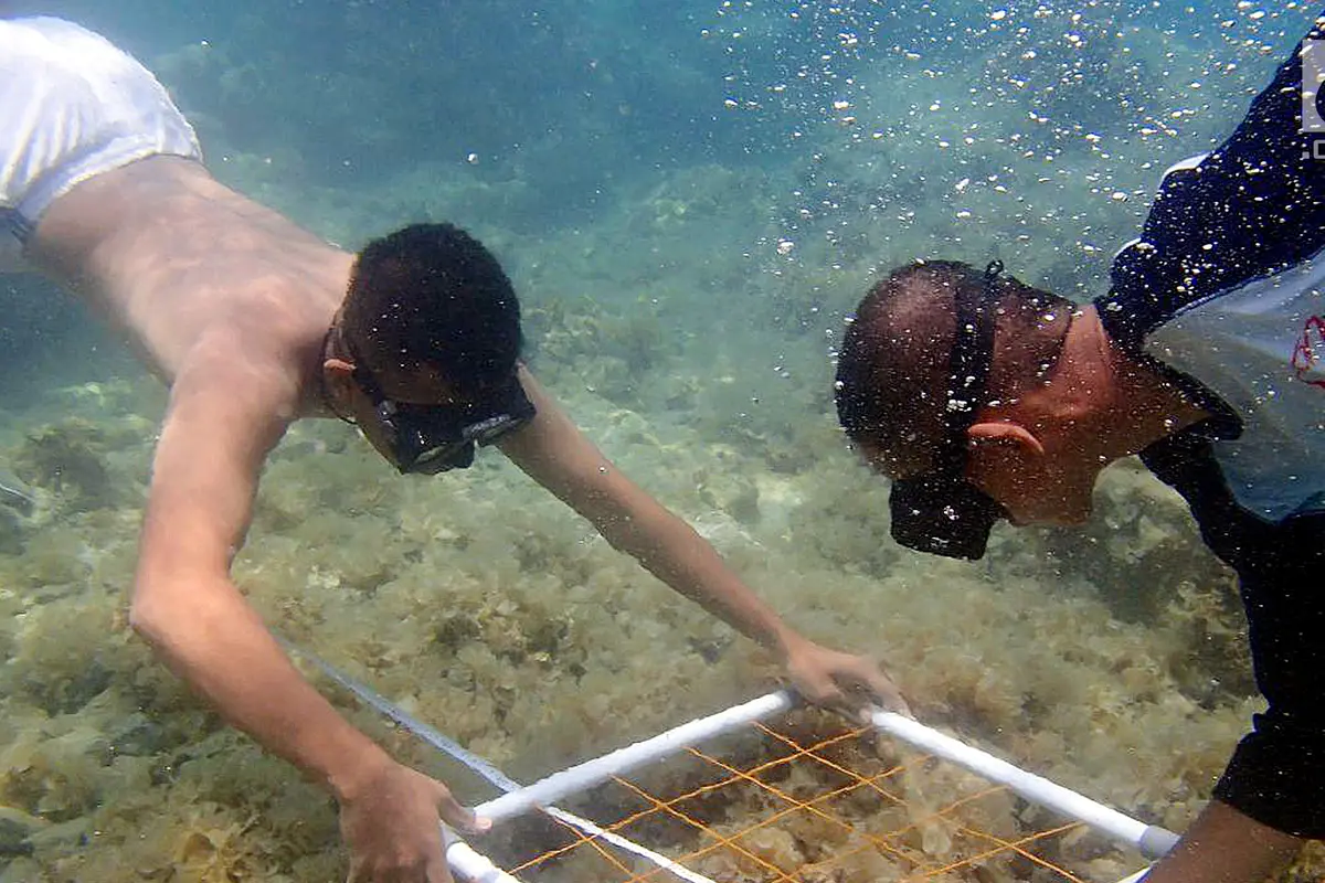 PHOTO: Tumbuhkan Kepedulian Melalui Gerakan Cinta Laut