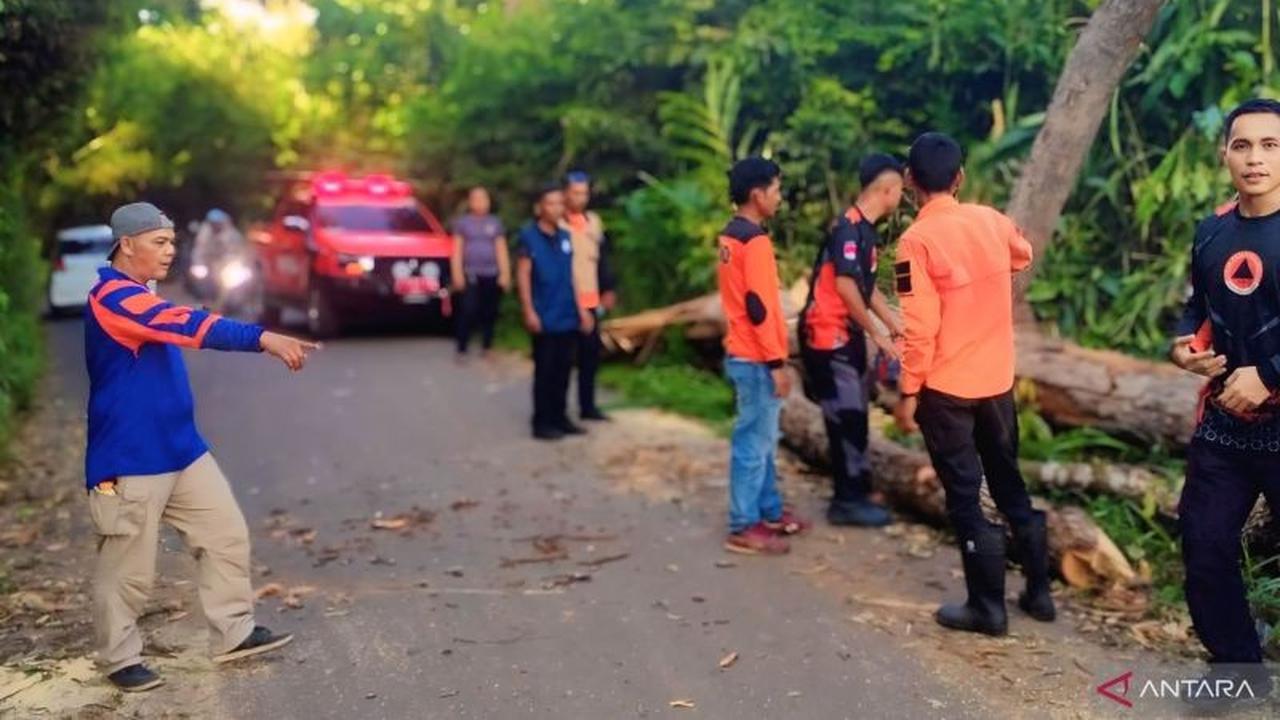 BPBD OKU Sigap Evakuasi Pohon Tumbang di Jalinsum Lengkiti, Pastikan Arus Mudik Lebaran Aman