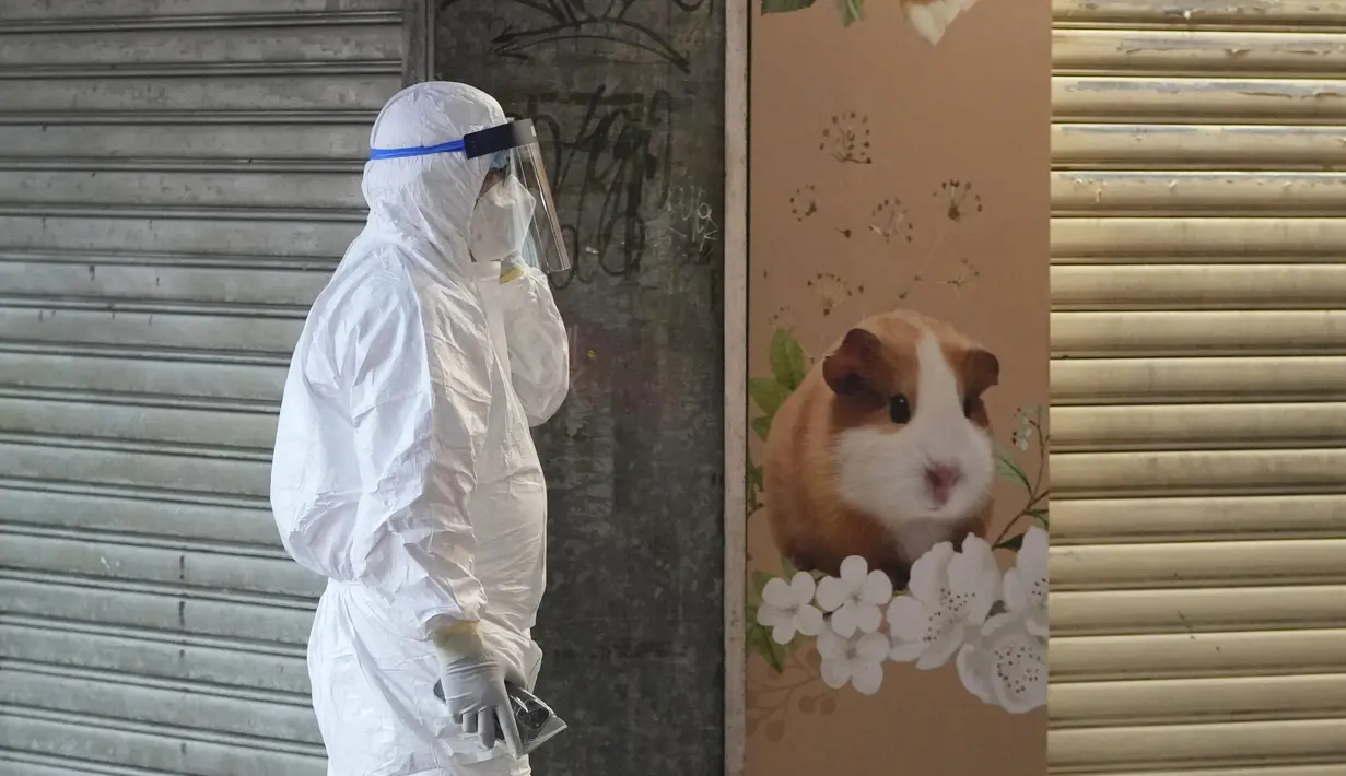 Petugas melewati toko hewan peliharaan yang ditutup setelah beberapa hamster dinyatakan positif corona di Hong Kong, Selasa (18/1/2022). Sekitar 2.000 hewan kecil termasuk hamster usai sejumlah hamster di sebuah toko hewan peliharaan positif Covid-19. (AP Photo/Kin Cheung)
