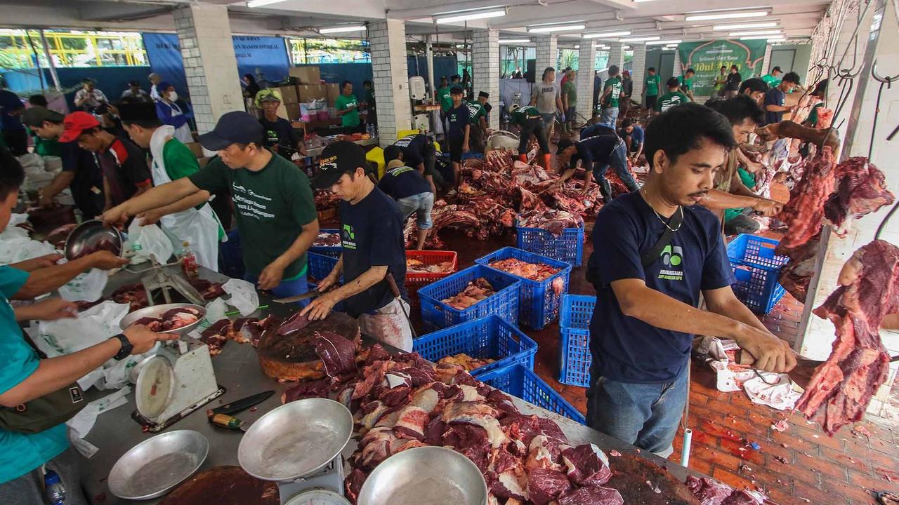 FOTO: Daging Sapi Kurban Prabowo dan Gibran di  Mesjid Istiqlal Akan Dimasak dan  Dibagikan Kepada Anak-Anak Yatim