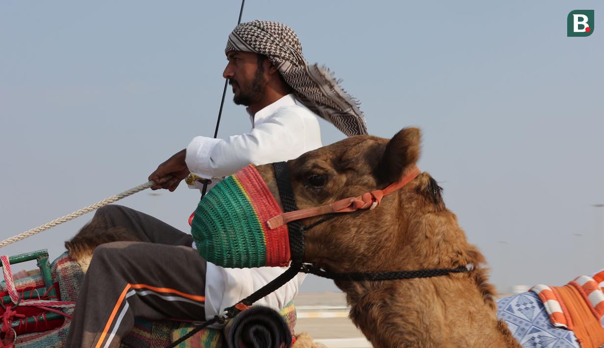 Balap unta biasanya merupakan salah satu hobi dari Qatari atau warga asli Qatar. (Bola.com/Ade Yusuf Satria)