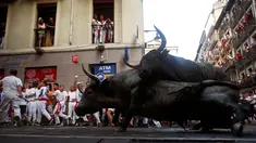 Dua banteng terjatuh saat ingin menyeruduk peserta pada festival San Fermin di Pamplona, Spanyol utara, (9/7). festival tahunan ini amat populer di Spanyol, dimana peserta diuji Keberaniannya dalam berhadapan dengan banteng. (REUTERS/Eloy Alonso)