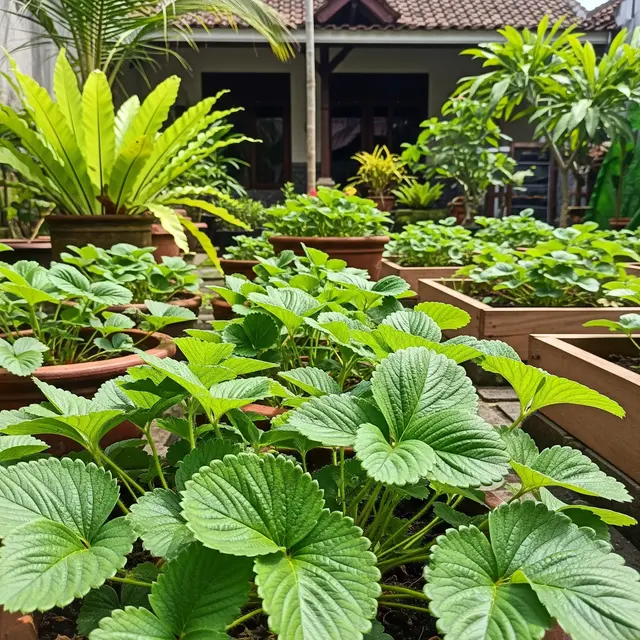 Alasan Tanaman Stroberi Tumbuh Subur tetapi Tidak Berbuah (AI Generated)