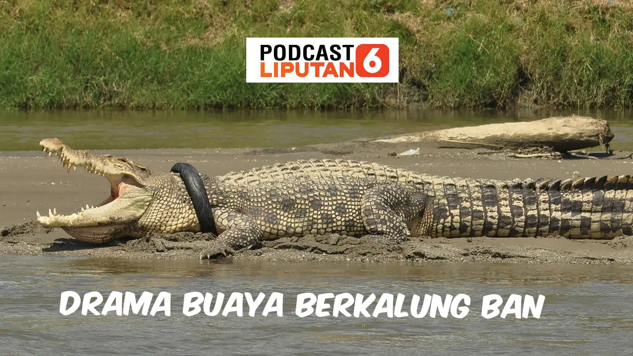 Podcast Regional