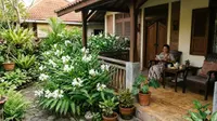 5 Tanaman Rimpang dengan Bunga Cantik untuk Teras, Pilihan Terbaik untuk Hunian