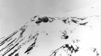 Anomali di Gunung Ararat yang diduga Bahtera Nabi Nuh yang diambil Angkatan Udara AS pada 1949 (Wikipedia/Public Domain)