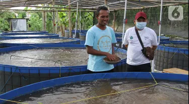 Manajer Program Ekosistem kelautan Yayasan KEHATI Toufik Alansar (kanan) bersawam perwakilan Masyarakat Pelestarian Hutan Pesisir (KMPHP) Mangrove Sarisaat meninjau kegiatan budi daya ikan nila sistem bioflok di Desa Kaliwlingi Kabupaten Brebes, Jawa Tengah (28/03/2022). (Liputan6.com/HO/Ading)