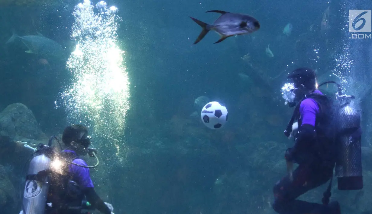 Penyelam melakukan atraksi menimang bola di dalam aquarium Sea World, Jakarta, Sabtu (16/6). Atraksi tersebut digelar dalam rangka menyemarakkan ajang Piala Dunia 2018 yang berlangsung di Rusia. (Liputan6.com/Immanuel Antonius)