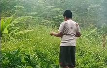Heboh Bocah di Kabupaten Bandung Barat Hobi Makan Daun dan Rumput, Sosoknya Anak Istimewa
