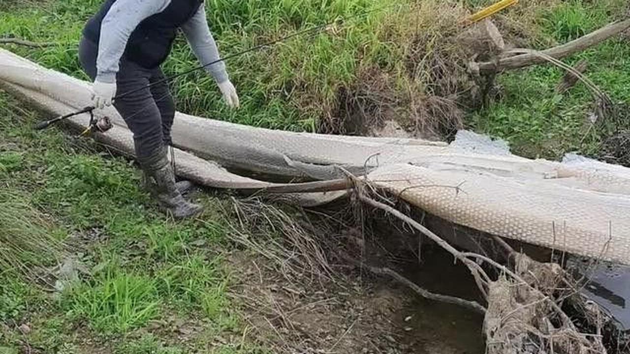VIDEO: Dua Pria Temukan Benda Aneh saat Mau Mancing, Diduga Kulit Ular Raksasa Terbesar Dunia?