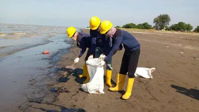 Pasca kejadian tumpahan minyak di area pantai Karawang, Tim PHE ONWJ terus bersinergi dengan berbagai pihak untuk membersihkan sisa ceceran minyak. (Dok Pertamina)