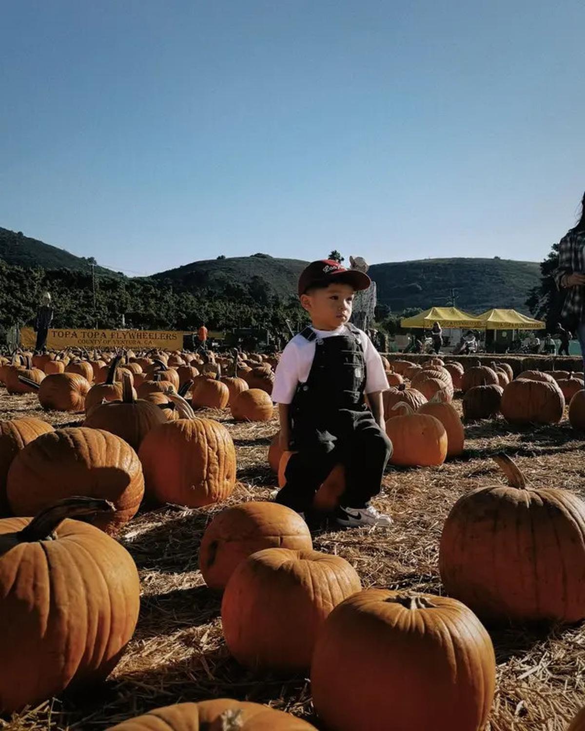 6 Potret Nikita Willy Ajak Baby Issa ke Ladang Labu Amerika, Panen Jelang Halloween