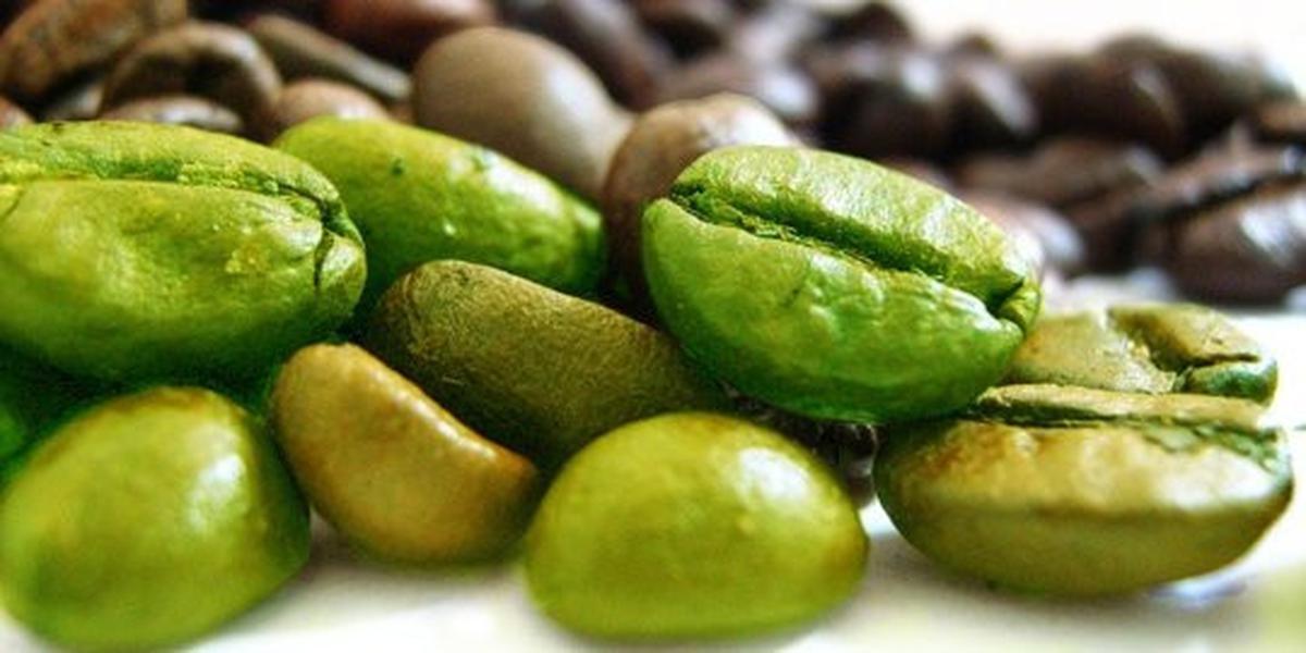 Ada biji kopi yang berwarna hijau