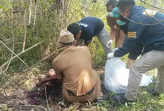 Penemuan kerangka seorang ibu beranak empat berinisial EM (33) di Sukabumi (Istimewa)ng