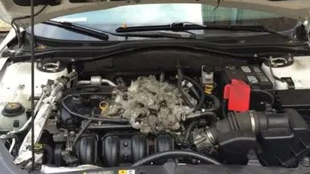 Ada banyak faktor penyebab mobil mogok karena tidak bisa distarter. Beberapa komponen mobil kemungkinan besar dalam kondisi kotor atau malah rusak.