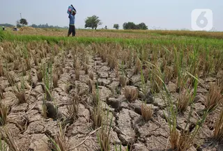 Kesiapsiagaan dan kewaspadaan atas kemungkinan terjadinya bencana yang ditimbulkan dari dampak fenomena El Nino juga ditingkatkan. (Liputan6.com/Angga Yuniar)