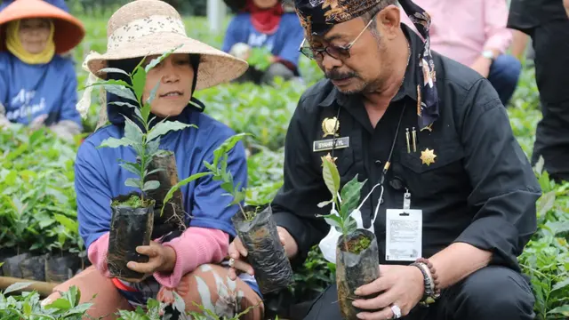 Mentan Syahrul Yasin Limpo (SYL) bersama salah satu petani lokal Garut, saat meninjau nursey bibit kopi di Desa Cikandang, Kecamatan Cikajang, Garut, Ahad (28/8/2022). (Liputan6.com/Jayadi Supriadin)